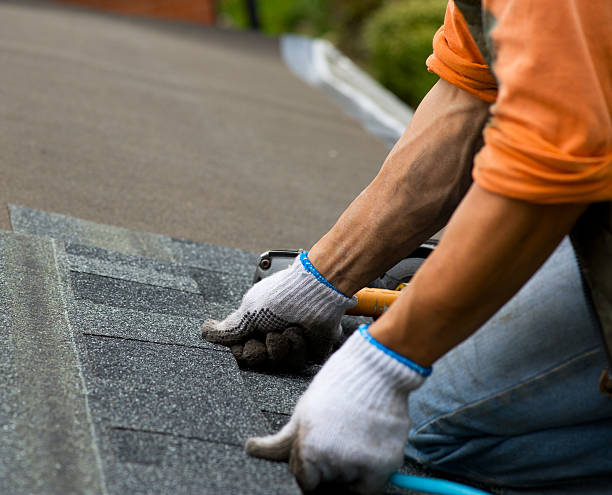 Quick and Trustworthy Emergency Roof Repair Services in Ives Estates, FL